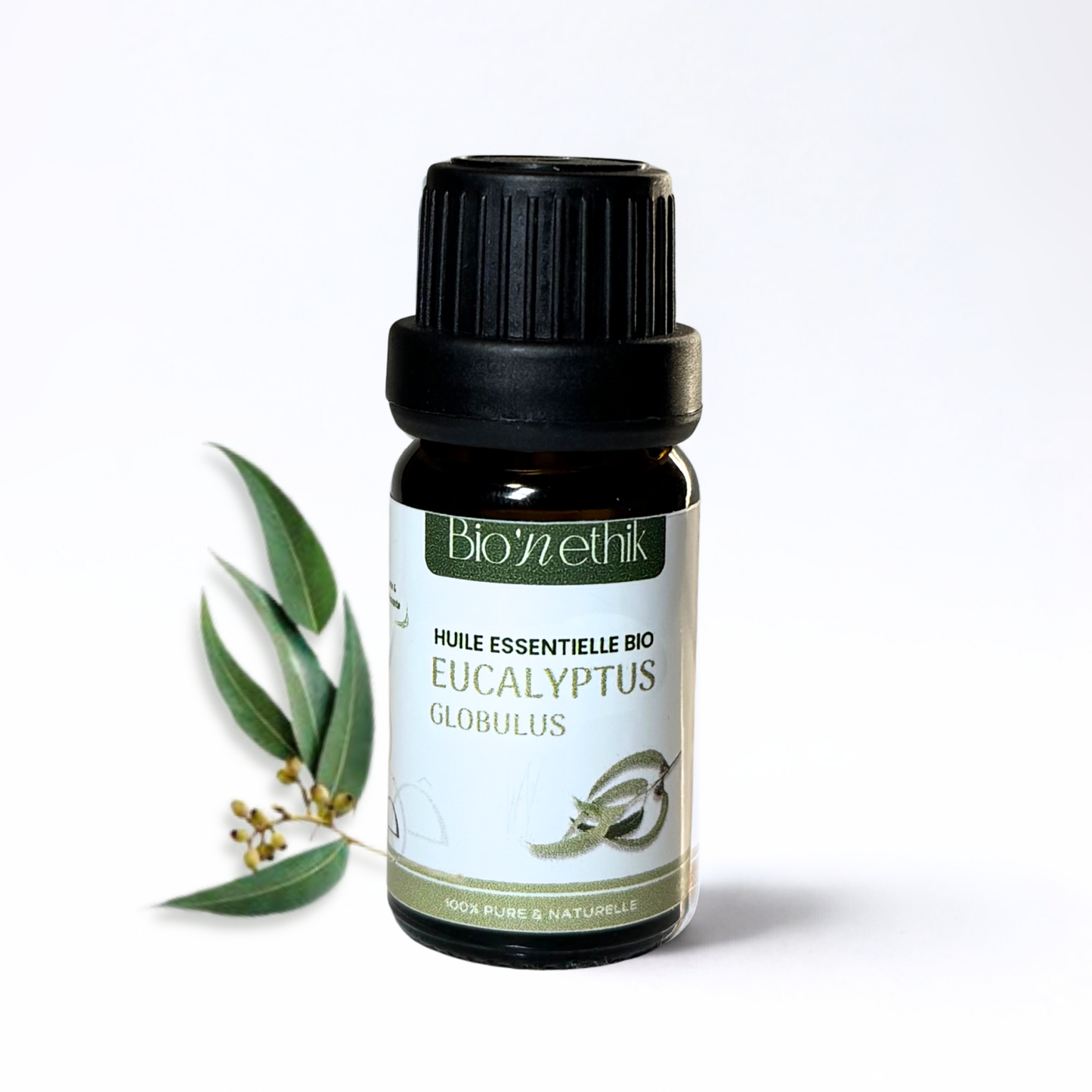 Huile essentielle BIO - Eucalyptus Globulus